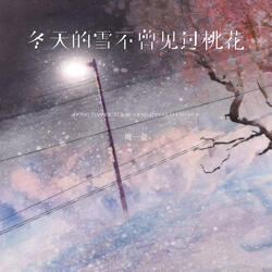 冬天的雪不曾见过桃花