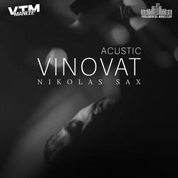 Vinovat