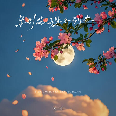 等到花开等不到你