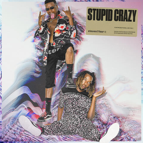 Stupid Crazy
