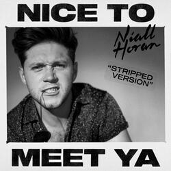 Nice To Meet Ya