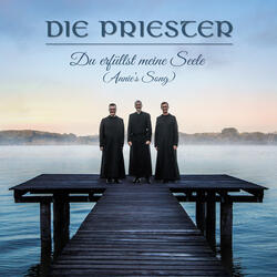 Du erfüllst meine Seele (Annie's Song)