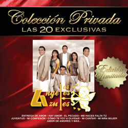 20 Rosas