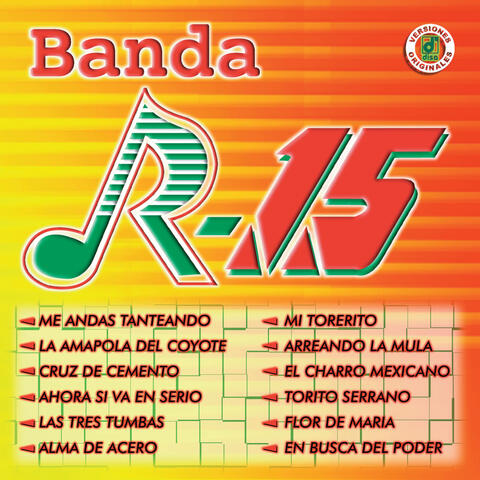 Arreando La Mula