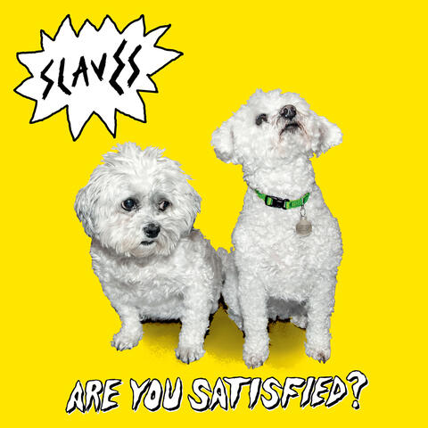 Are You Satisfied?