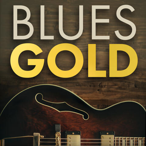 Big Bill Broonzy Big Bill Broonzy
