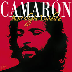 Camarón En Montilla