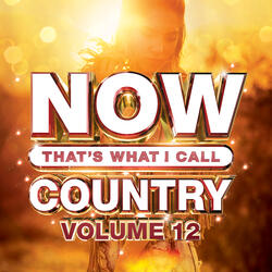 What Makes You Country