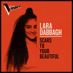 Scars To Your Beautiful