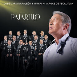 Pajarillo
