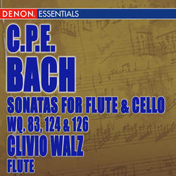 Sonata for Flute Violoncello in D Major, Wq. 83: III. Allegro