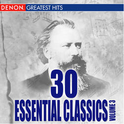 Symphony No. 9 In D Minor, Op. 125: II. Scherzo: Molto Vivace - Presto