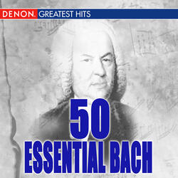 Orchestral Suite No. 2 BWV 1067 in B Minor: III. Sarabande