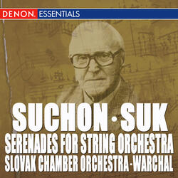 Serenade for String Orchestra, Op. 5: I. Berceuse