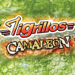 El Camaleón