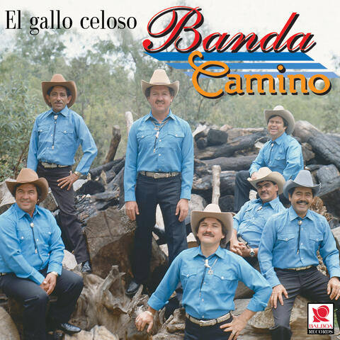 El Gallo Celoso