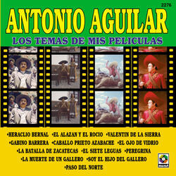 Caballo Prieto Azabache