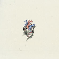 Heartbeat