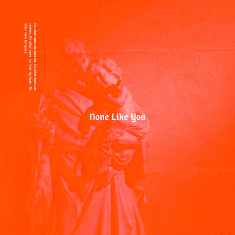 None Like You
