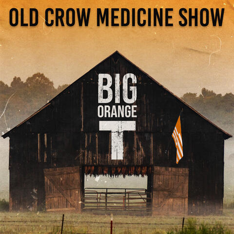 Big Orange T
