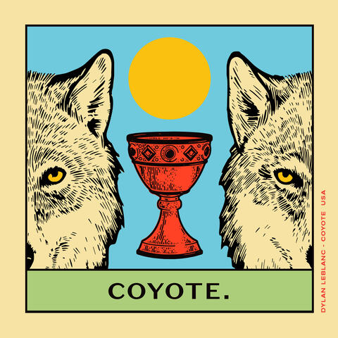 Coyote