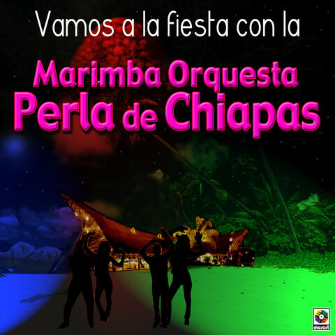 Vamos A La Fiesta