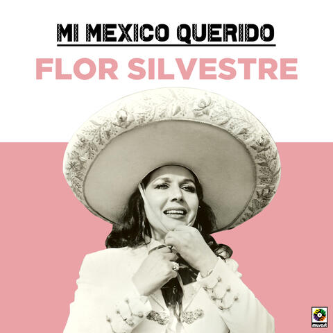 Mi Mexico Querido