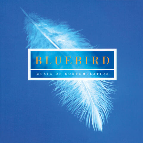 Bluebird - Music Of Contemplation
