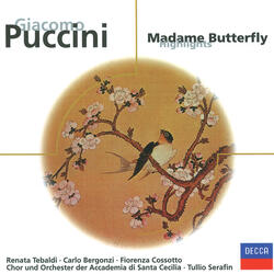 Puccini: Madama Butterfly / Act 2: "Con amor muore...Tu, tu? Piccolo Iddio"