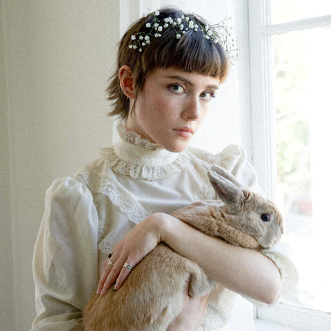 Year of the Rabbit