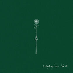 Scheiß auf die Stadt