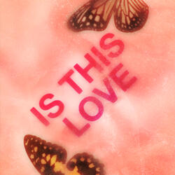 Is This Love