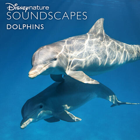 Disneynature Soundscapes