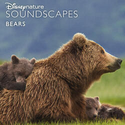 Inside the Bear Cave with Cubs