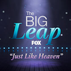 Just Like Heaven