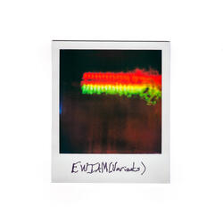 Every Window Is A Mirror