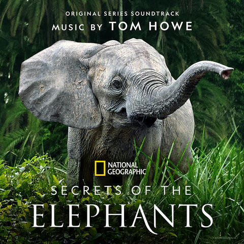 Secrets of the Elephants