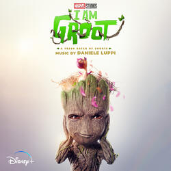 Groot Winter Bossa Nova