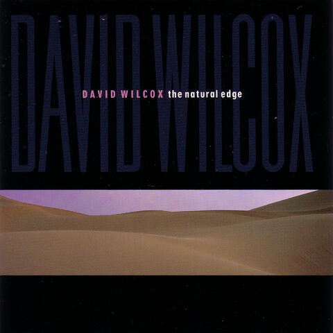 David Wilcox