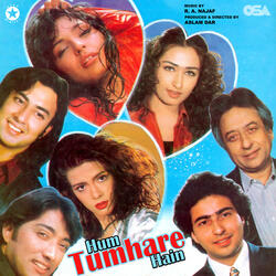 Hum Tumhare Hain