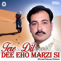 Tere Dil Dee Eho Marzi Si