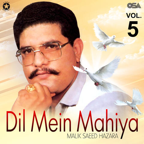 Dil Mein Mahiya, Vol. 5