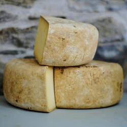 Tout Un Fromage