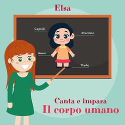 La mia mano ha cinque dita