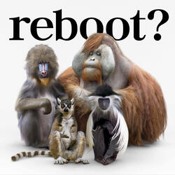 Reboot -Akiramenai Uta-