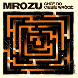 Chcę Do Ciebie Wrócić