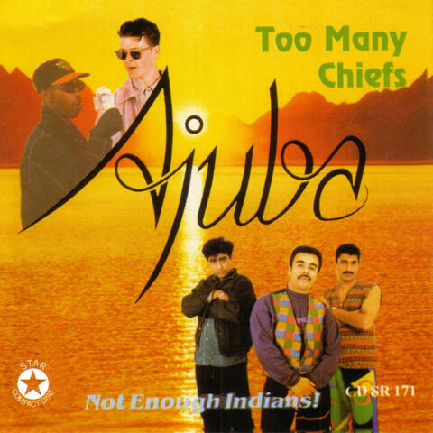 Too Many Cheifs - Not Enough Indians!