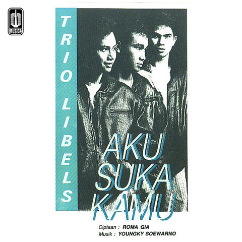 Aku Suka Kamu
