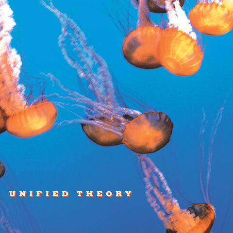 Unified Theory