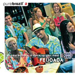Só Danço Samba